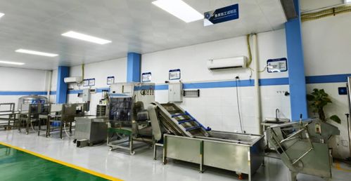 技術賦能，智造未來——廣東省農裝院引領水產養殖與加工新趨勢